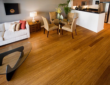 Bamboo the Rising Star