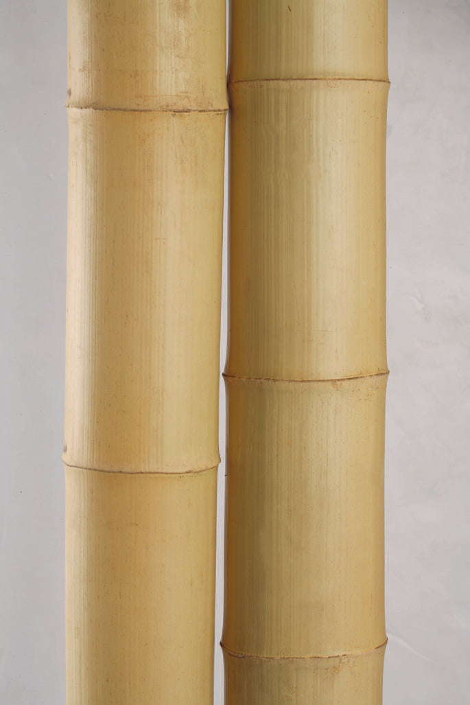 Bamboo Flooring, the increasingly economical hardwood option
