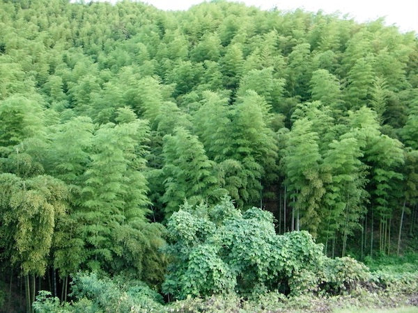 Under The Floor Heating