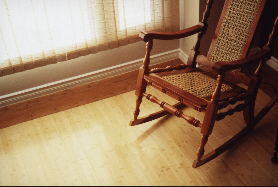 Springtime in the Bamboo Forest