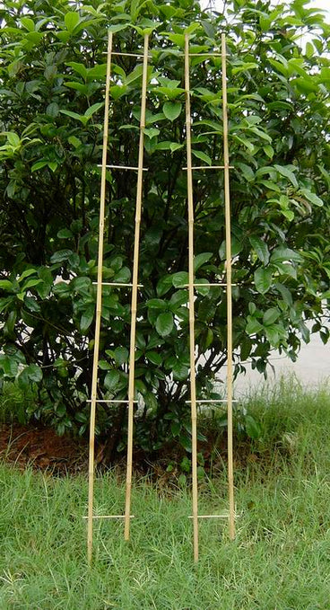 A Cool Floor for Hot Weather